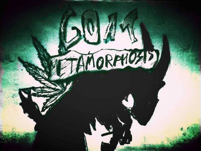 4 Goat Metamorphosis 4 Goat Metamorphosis