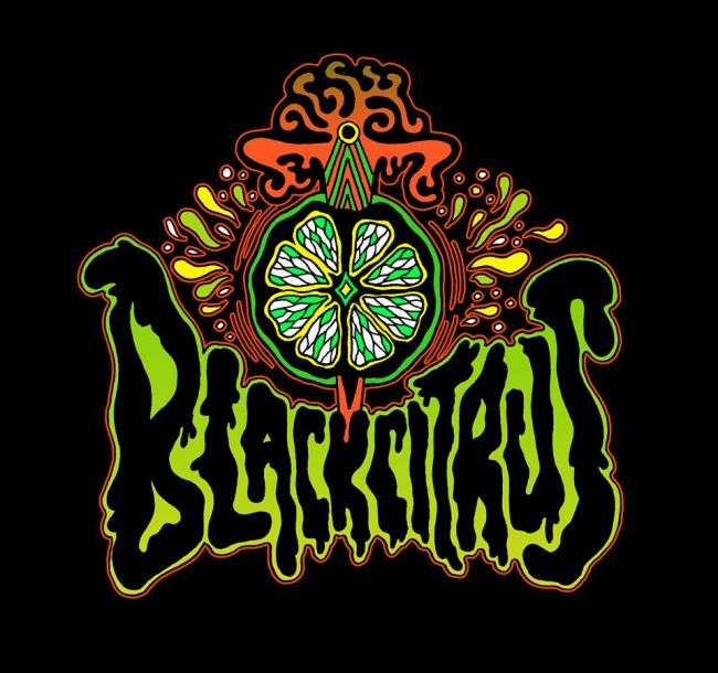 6 Black Citrus 6 Black Citrus