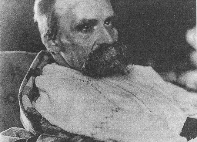 9.1 friedrich-nietzsche